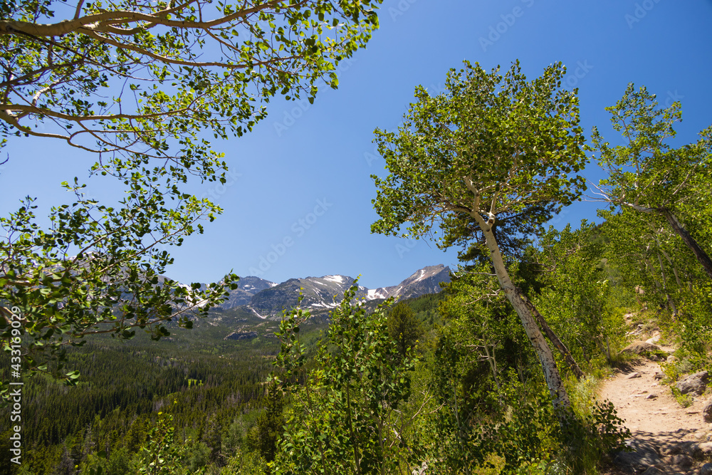 Obraz premium Bierstadt Lake Trail with blue sky and mountains in background in Rocky Mountain National Park, Colorado