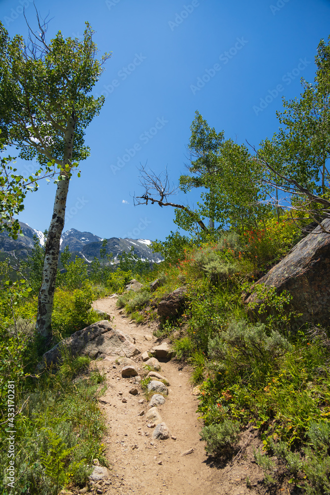 Bierstadt Lake Trail with blue sky and mountains in background in Rocky Mountain National Park, Colorado