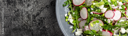 spring salad with red radish, arugula and cottage cheese. Long banner format, top view