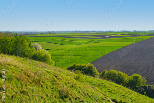 Poland landscape meadows view forest