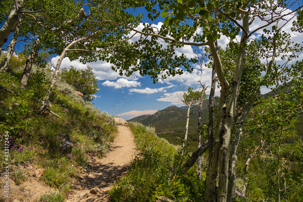 Bierstadt Lake Trail with blue sky and mountains in background in Rocky Mountain National Park, Colorado