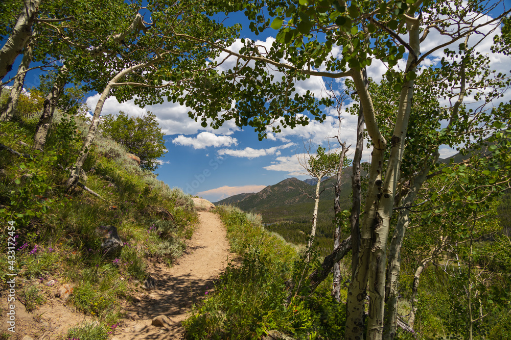 Bierstadt Lake Trail with blue sky and mountains in background in Rocky Mountain National Park, Colorado Bierstadt Lake Trail with blue sky and mountains in background in Rocky Mountain National Park, Colorado