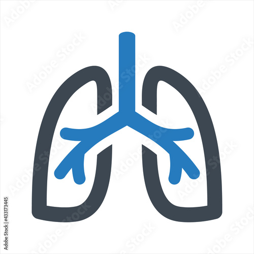 Lung icon, vector and glyph