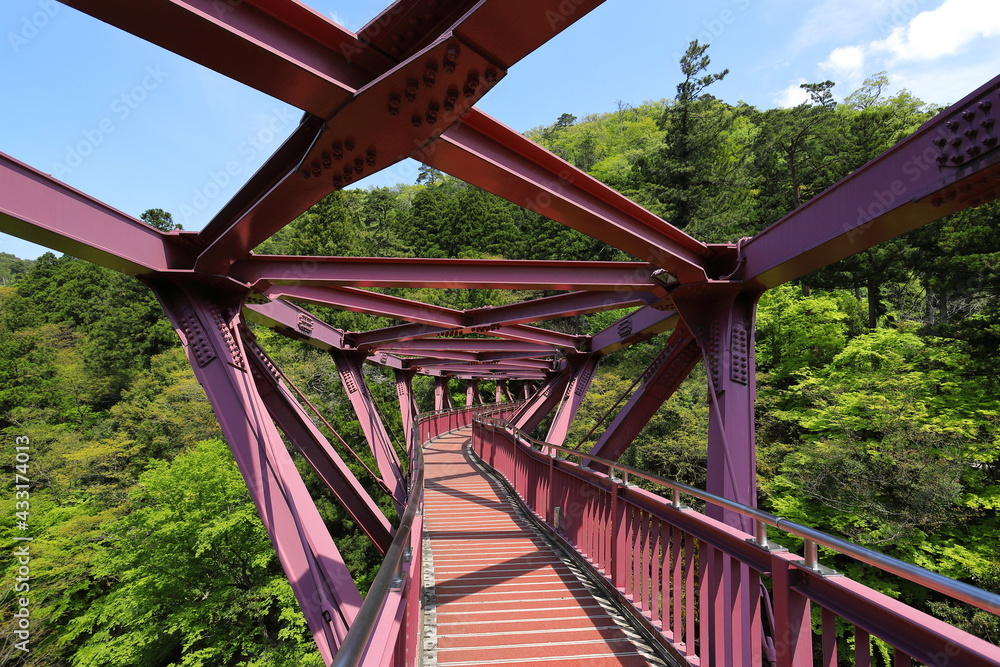 カーブした赤い鉄橋の風景