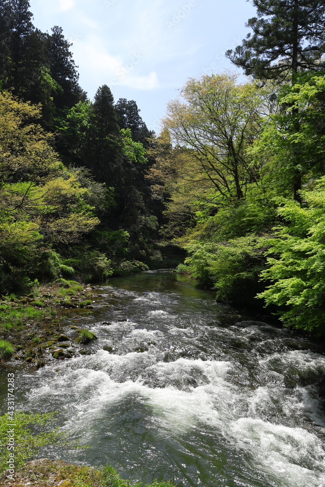 山奥にある渓流 山奥にある渓流