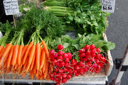 Carrots and Radish
