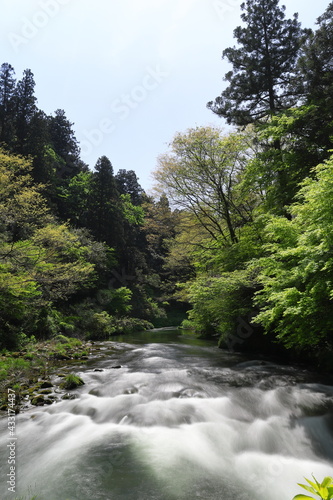 川の上流にある渓流