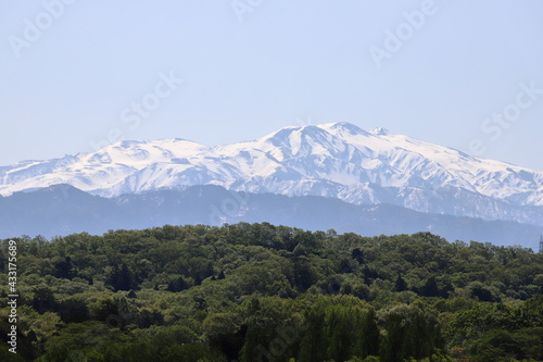Wallpaper Mural 森の奥に雪山が見えている風景 Torontodigital.ca