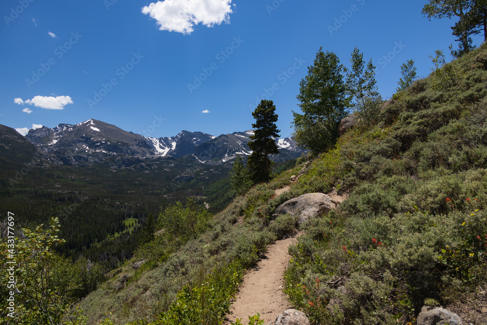 Bierstadt Lake Trail with blue sky and mountains in background in Rocky Mountain National Park, Colorado
