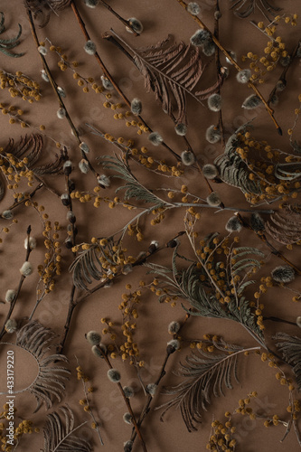 Floral pattern with small mimosa flowers, juniper, pussy willow buds on brown background. Flat lay, top view