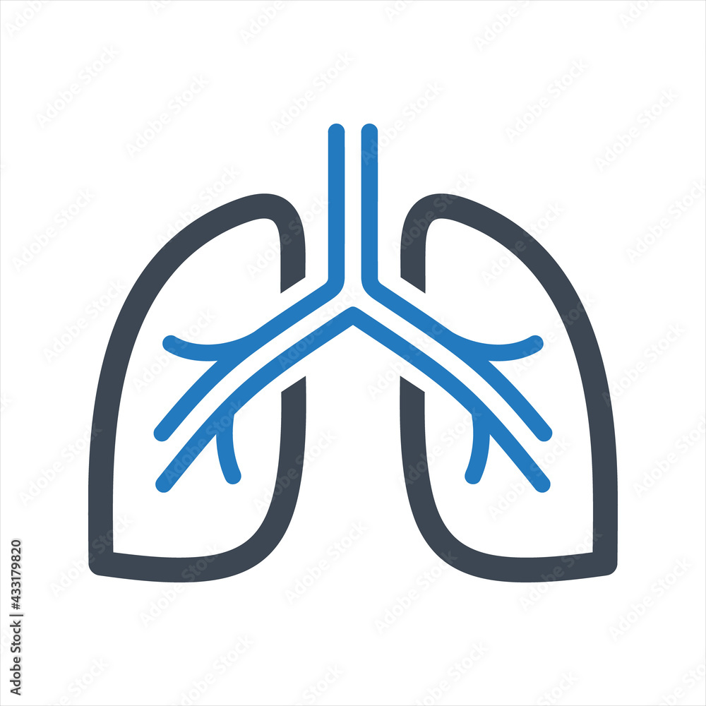 Human lungs icon, vector and glyph Human lungs icon, vector and glyph