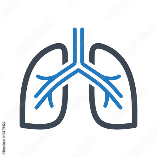 Human lungs icon, vector and glyph