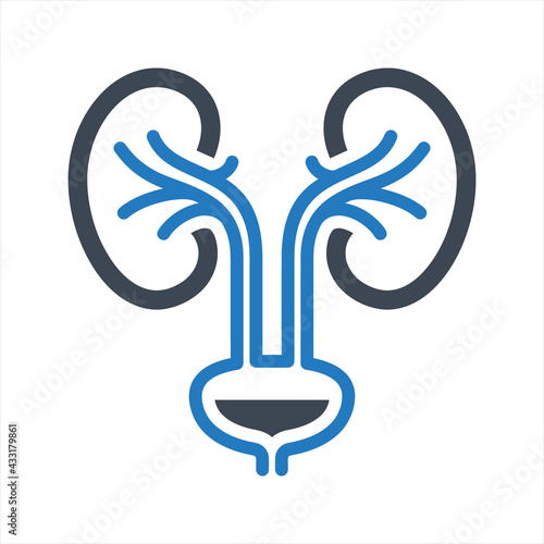 Urology icon, vector and glyph