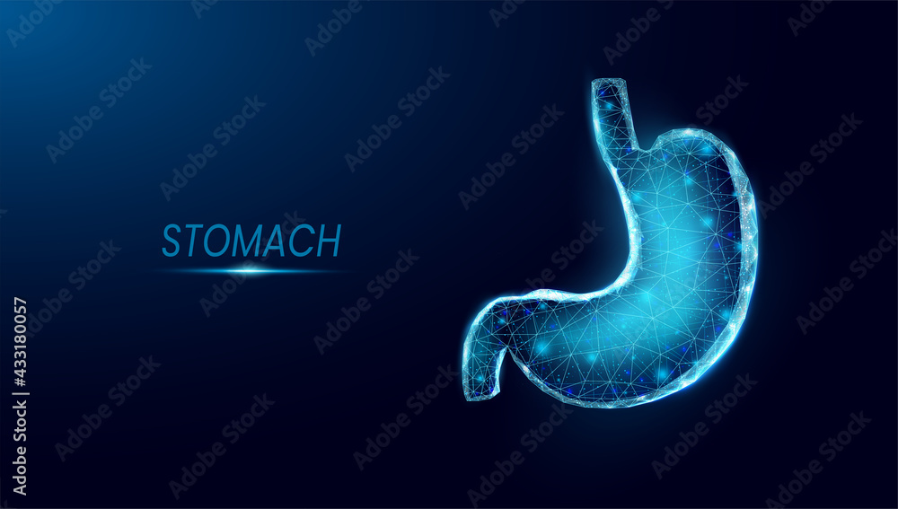 Fototapeta premium Human stomach. Wireframe low poly style. Concept for medical, treatment of the digestive system. Abstract modern 3d vector illustration on dark blue background.