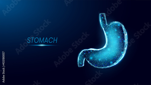 Human stomach. Wireframe low poly style. Concept for medical, treatment of the digestive system.  Abstract modern 3d vector illustration on dark blue background.