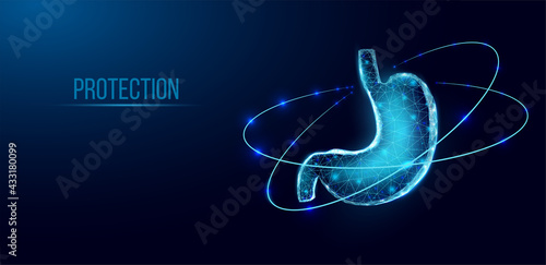 Human stomach protection. Wireframe low poly style. Concept for medical, pharmacology treatment of the digestive system.  Abstract modern 3d vector illustration on dark blue background.
