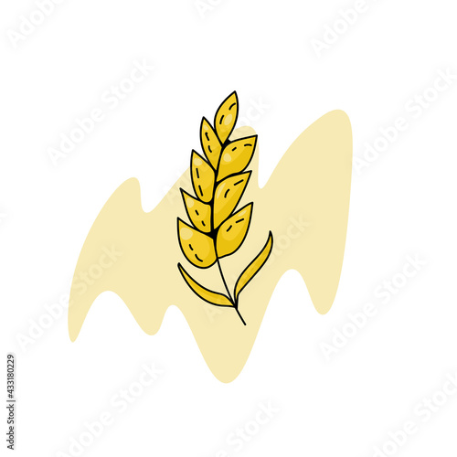 Spikelet icon or logo for bakery, baking or cereal products, cereal plant on abstract spot vector illustration