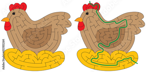 Chicken maze