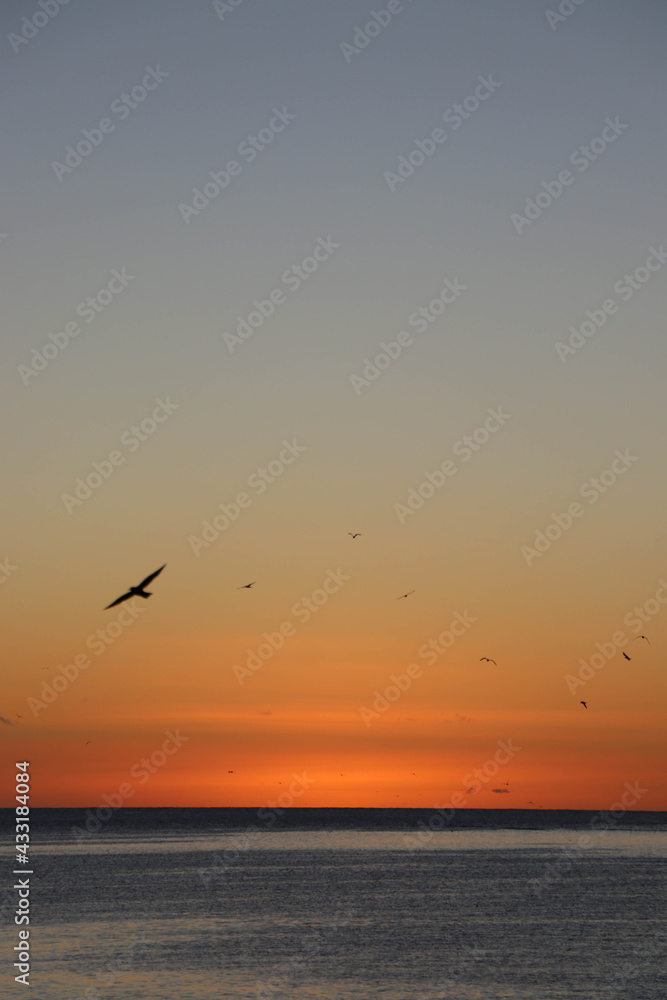 Beautiful colours as the sun sets over the Pacific Ocean Beautiful colours as the sun sets over the Pacific Ocean