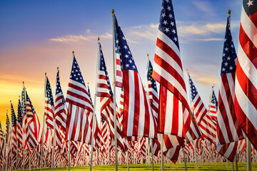 American flags standing in the green field against beautiful morning sky. Veterans Day display.   