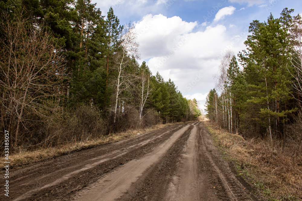 Rural road through the forest. The dirt road is wide and well-groomed through the forest.