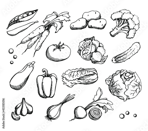 vegetables set isolated on white