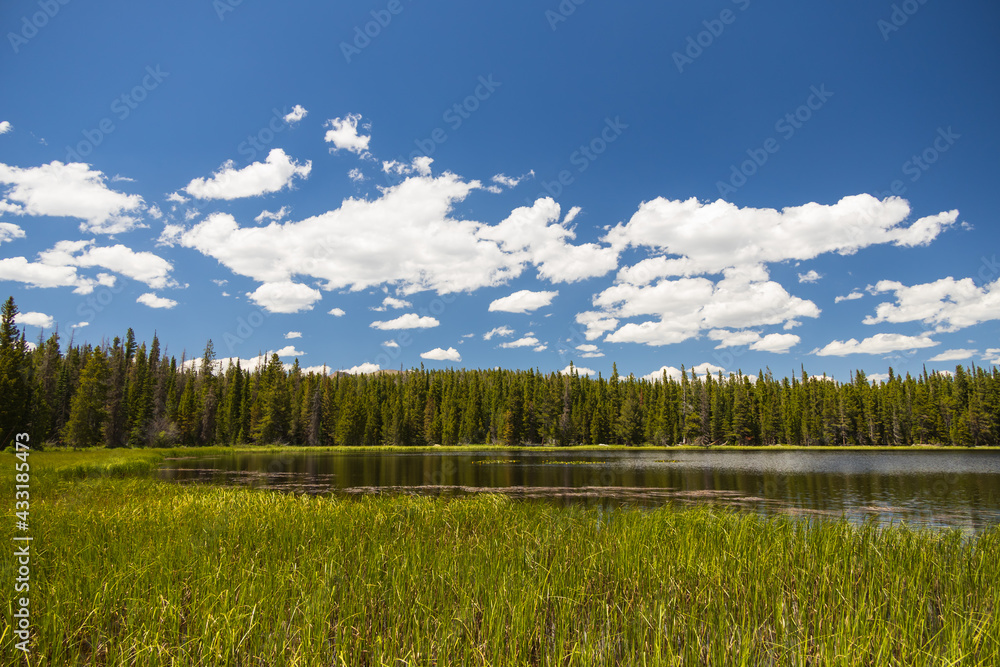 Naklejka premium Bierstadt Lake with blue sky and white clouds in background in Rocky Mountain National Park, Colorado
