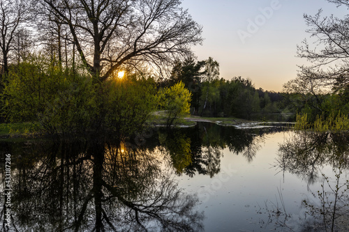 Fototapeta Naklejka Na Ścianę i Meble -  Spring landscape, river, bushes and trees. The evening sun illuminates the landscape. The rays of the setting sun.