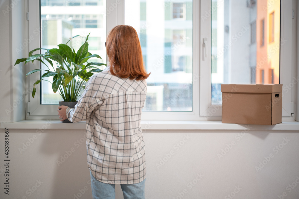 The owner of the apartment brings comfort to the new housing, puts a beautiful potted plant on the windowsill The owner of the apartment brings comfort to the new housing, puts a beautiful potted plant on the windowsill