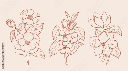 Set of hand drawn camellia, apple blossom, magnolia