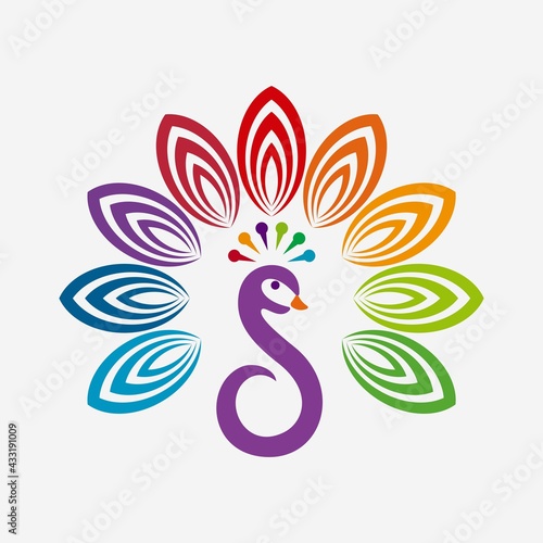 Colorful peacock logo icon vector template design