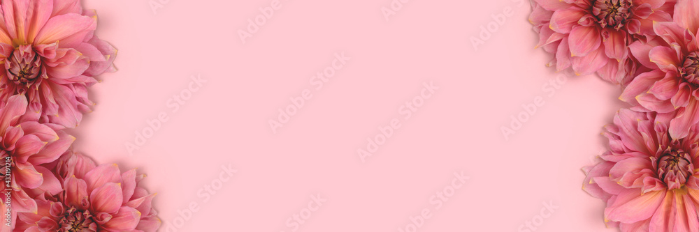 Banner with frame made of dahlia flowers on a pink background. Springtime romantic concept.