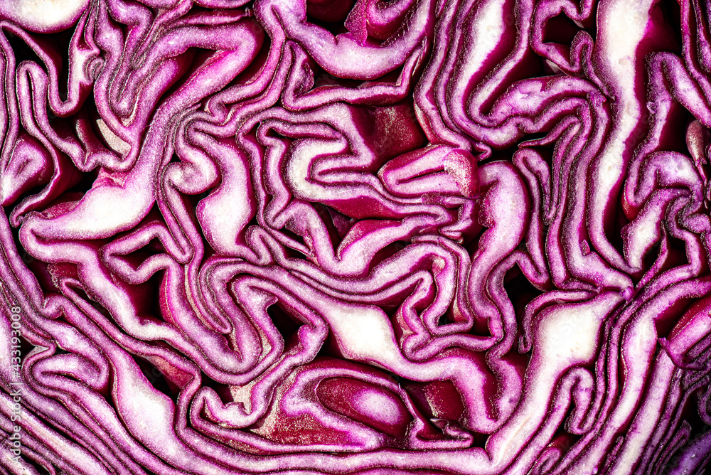 Close up eines aufgeschnittenen Rotkohls Close up eines aufgeschnittenen Rotkohls