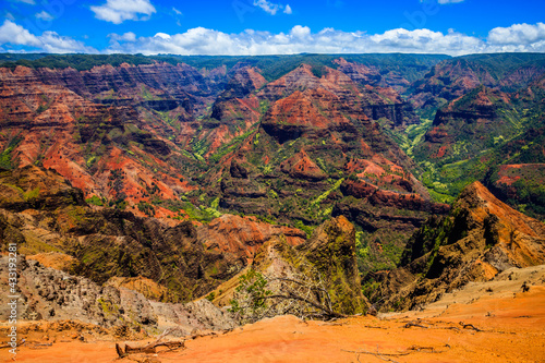 Waimea Canyon photo