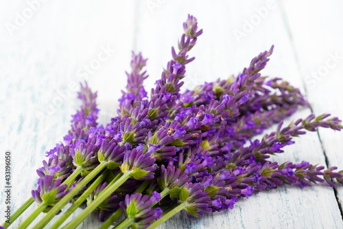 purple lavender flowers on white old wooden table