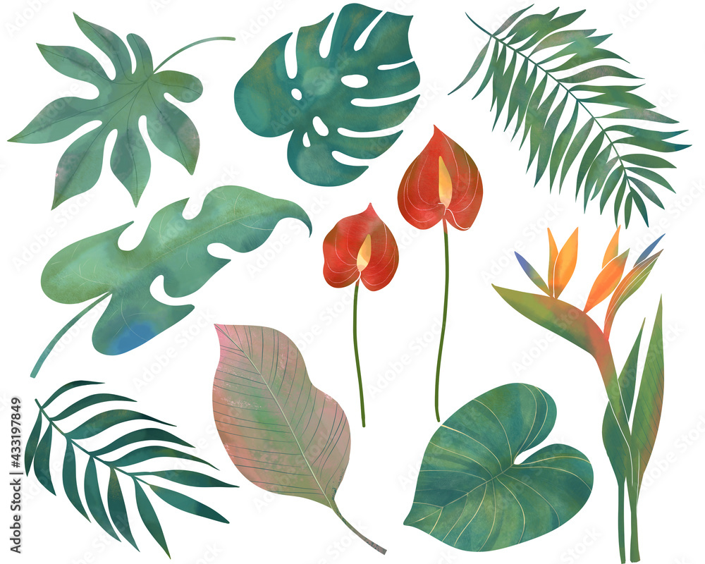 夏のトロピカルな葉っぱのオシャレなイラスト Stock Illustration Adobe Stock