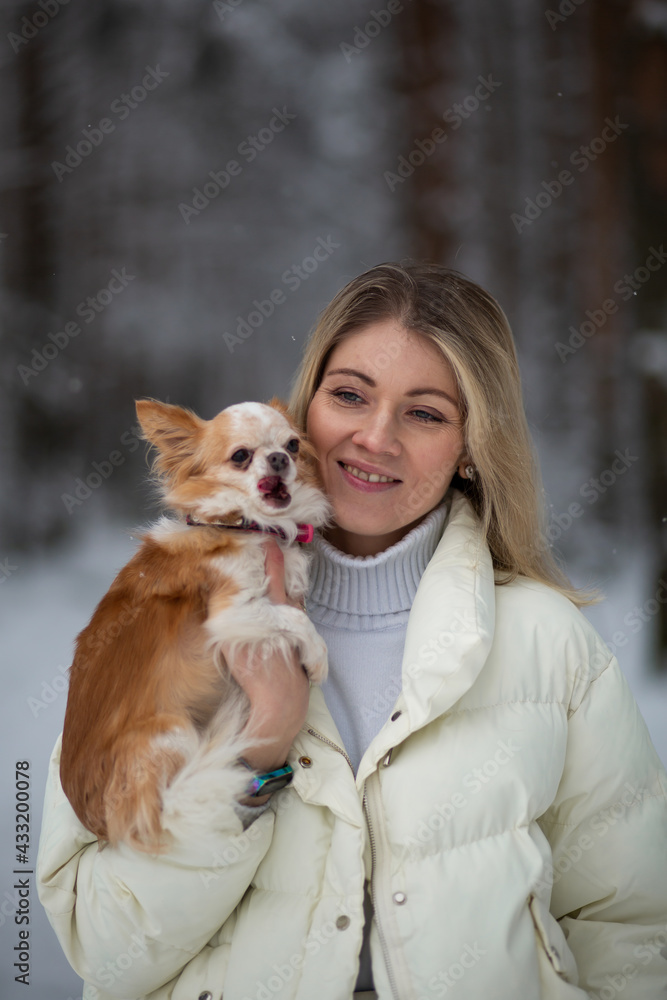Blonde young female holding ginger and white chihuahua in her hands. Snow and trees on the background Blonde young female holding ginger and white chihuahua in her hands. Snow and trees on the background