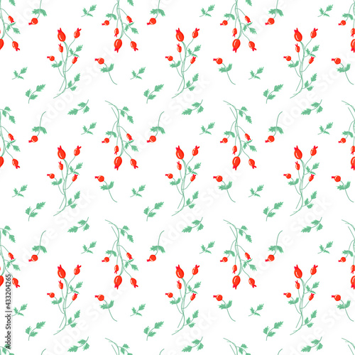 Vector pattern with berry and leaves of wild rose (rosehip) on a white background. In pastel colors.