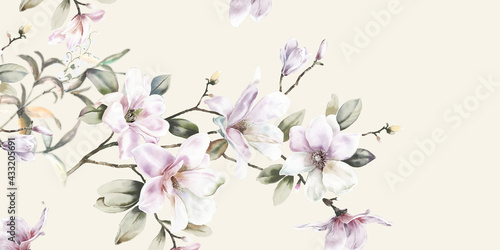 Beautiful elegant watercolor magnolia flower