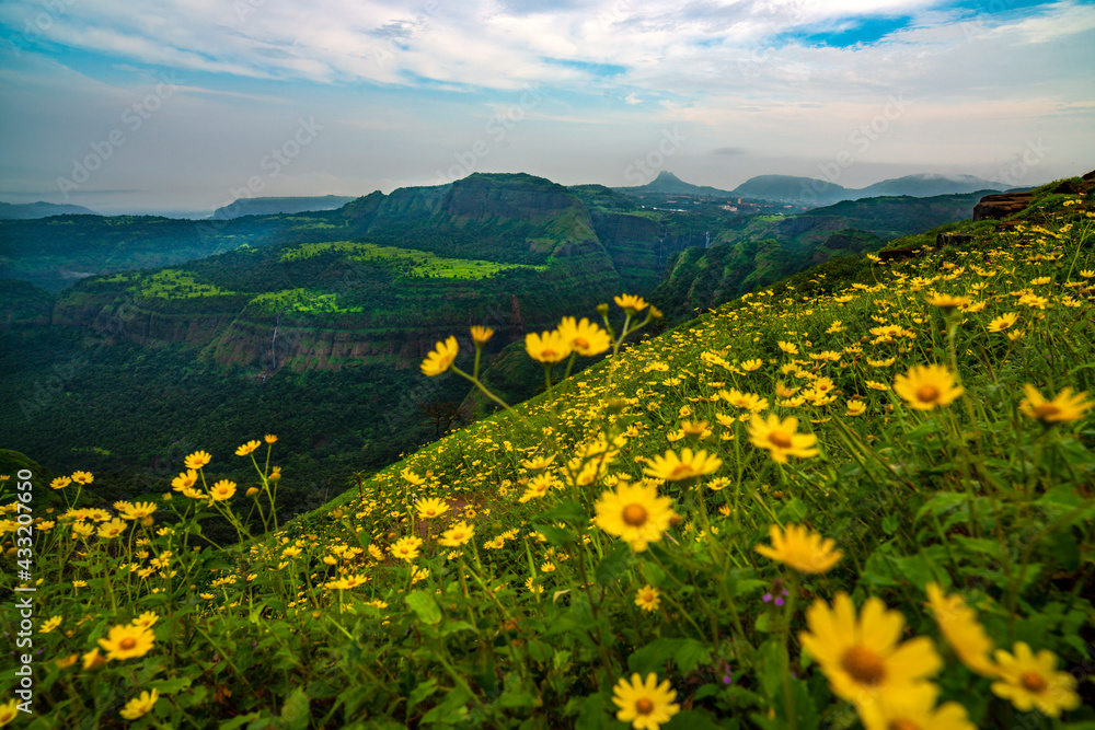 Western Ghats Western Ghats