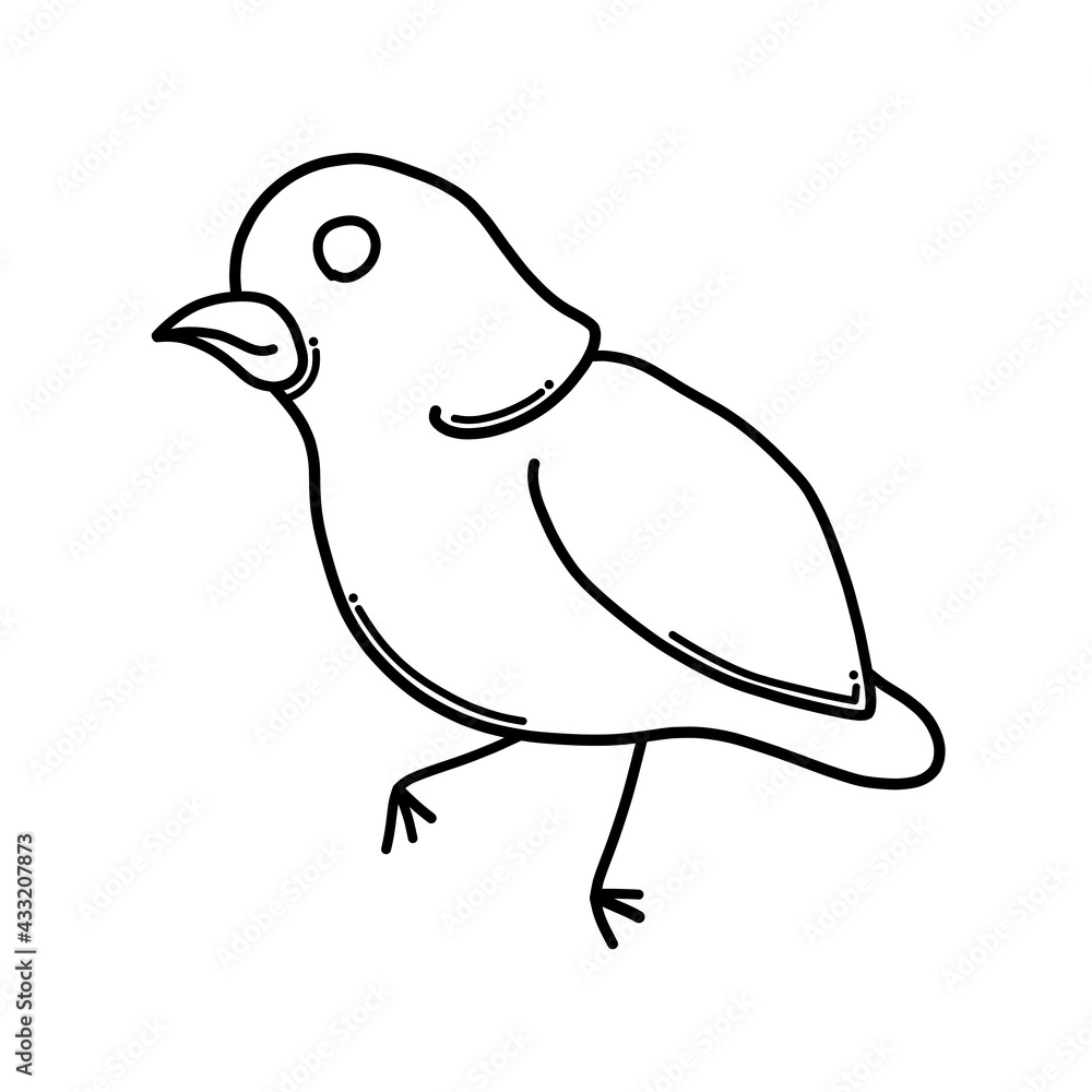Obraz premium Bird Doodle vector icon. Drawing sketch illustration hand drawn cartoon line eps10