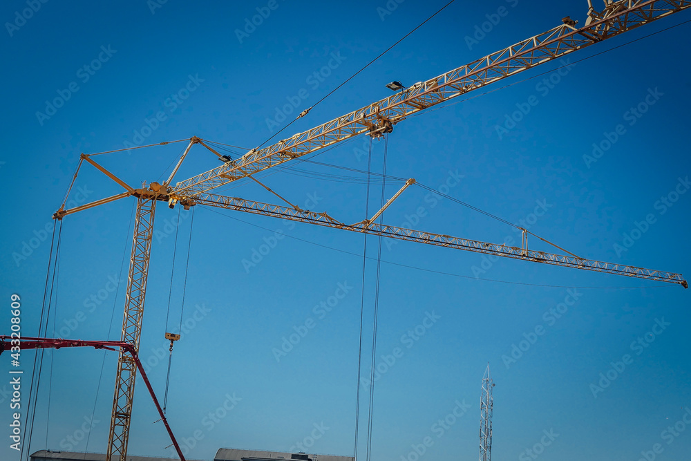 Cranes Cranes