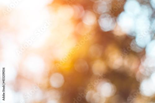 lights defocused background. Natural bokeh with sun light styled for your desig