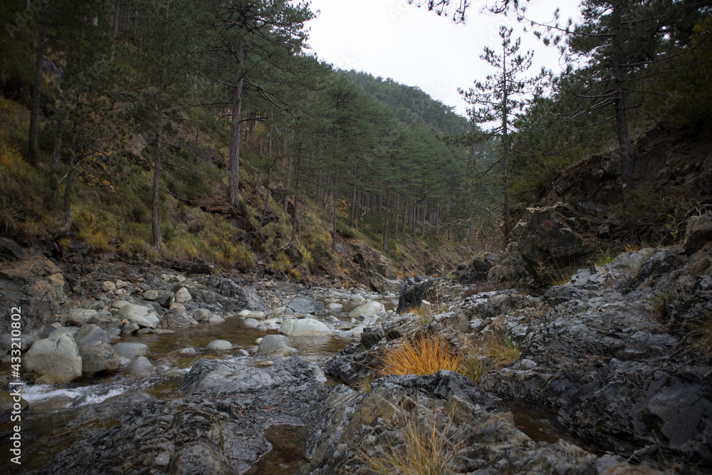 The legendary Arkoudorema (bear`s stream) streamlet, with part of Aoos River. At Pindus National Park (Valia Calda).