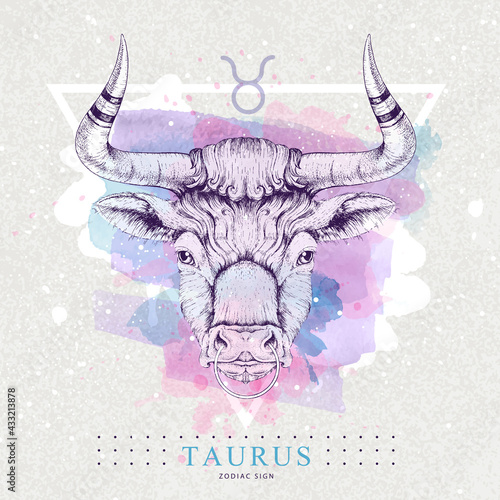 Modern magic witchcraft card with astrology Taurus zodiac sign on artistic watercolor background. Realistic hand drawing bull head