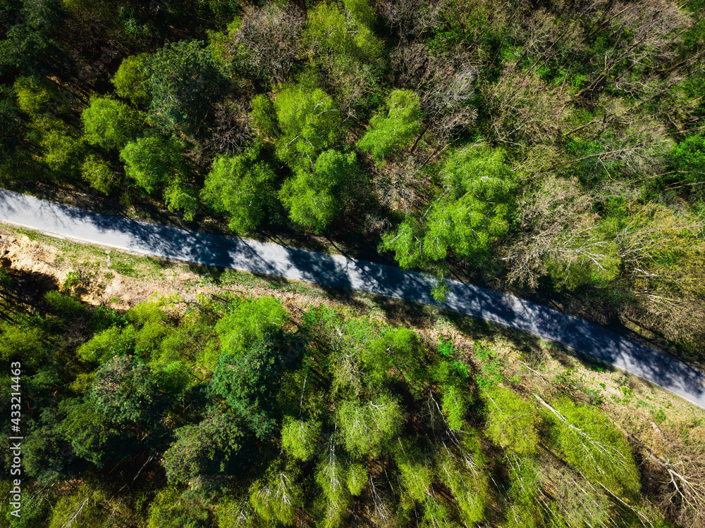 Single Lane Road in Dense Forest at Spring. Aerial Drone Top Down View