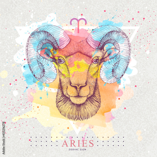 Modern magic witchcraft card with astrology Aries zodiac sign on artistic watercolor background. Realistic hand drawing ram or mouflon head. Zodiac characteristic