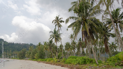 People sunbathe and swim at the beach paradise of coconut island