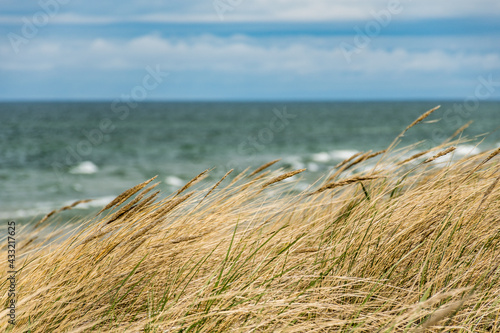 Beautiful rough blue sea with waves and sandy beach with reeds and dry grass among the dunes  travel in summer and holidays concept