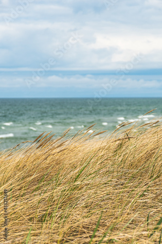 Beautiful rough blue sea with waves and sandy beach with reeds and dry grass among the dunes  travel in summer and holidays concept  vertical